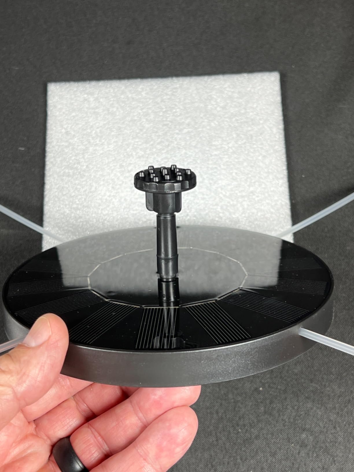 Foto de David Romero