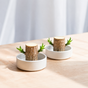 LuckyTree: Planta de madera Brasileña de la fortuna